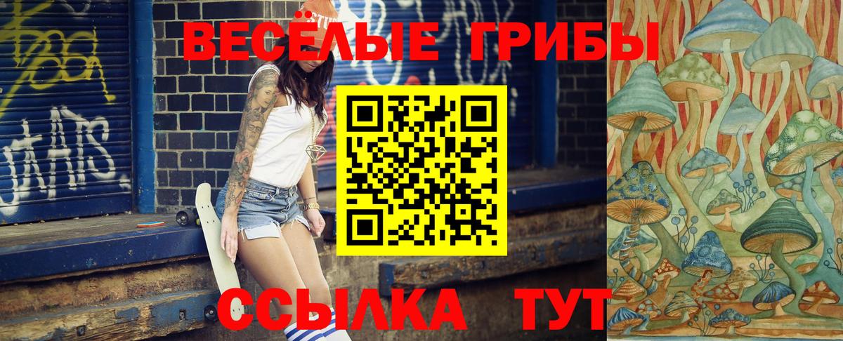 Галлюциногенные грибы ЛСД  Вход с VPN  Псилоцибиновые грибы Psilocybe  Полысаево 