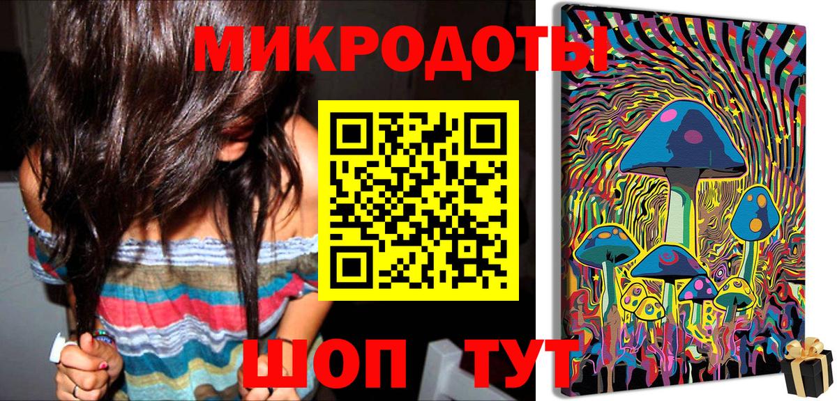 Псилоцибиновые грибы Psilocybe Полысаево